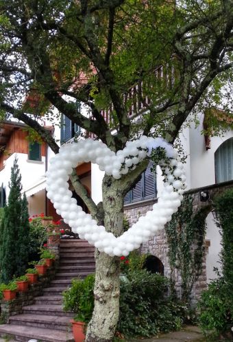 matrimonio (13)